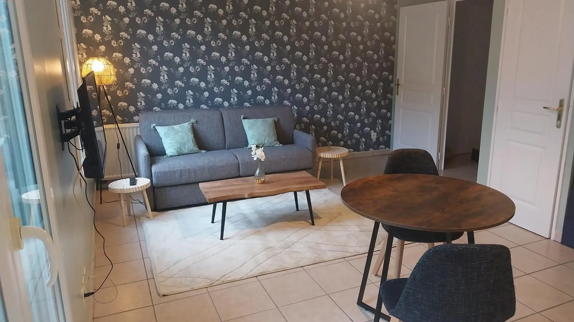 Apartman L'Aquarelle - Appartement Cosy, Groupamastadium Ldlc Arena Meyzieu