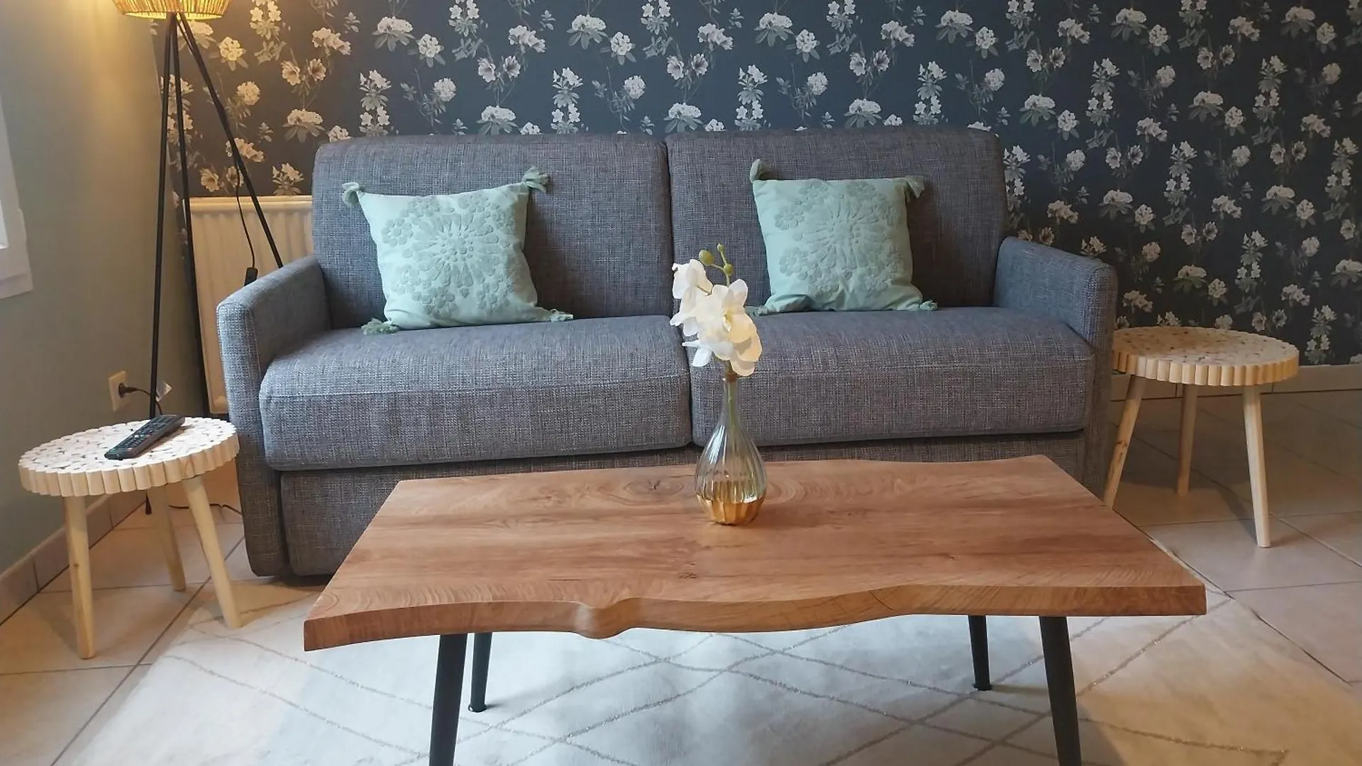 Apartman L'Aquarelle - Appartement Cosy, Groupamastadium Ldlc Arena Meyzieu
