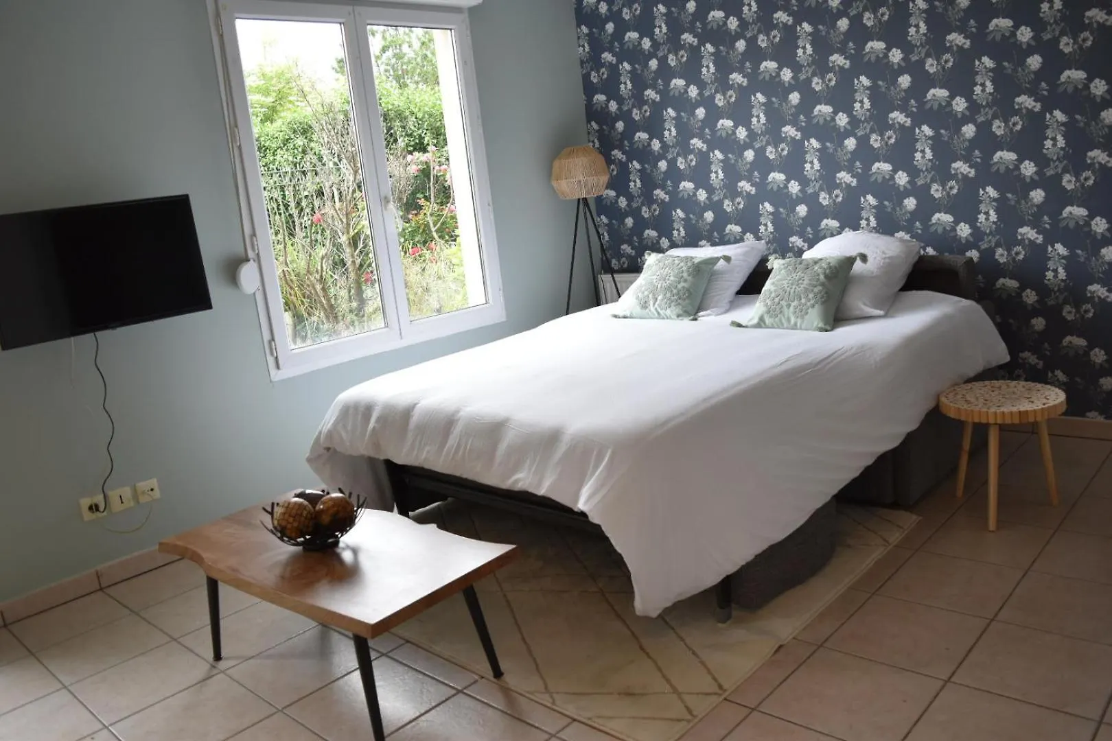 L'Aquarelle - Appartement Cosy, Groupamastadium Ldlc Arena Meyzieu