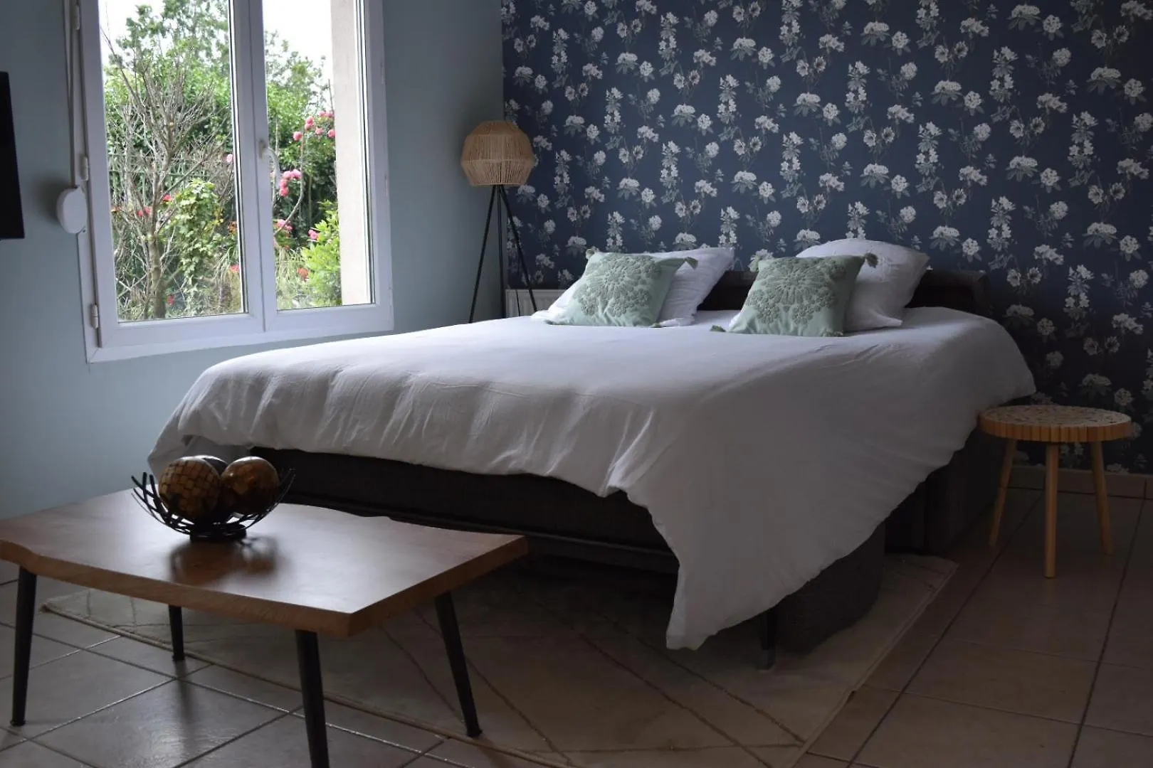 Apartman L'Aquarelle - Appartement Cosy, Groupamastadium Ldlc Arena Meyzieu
